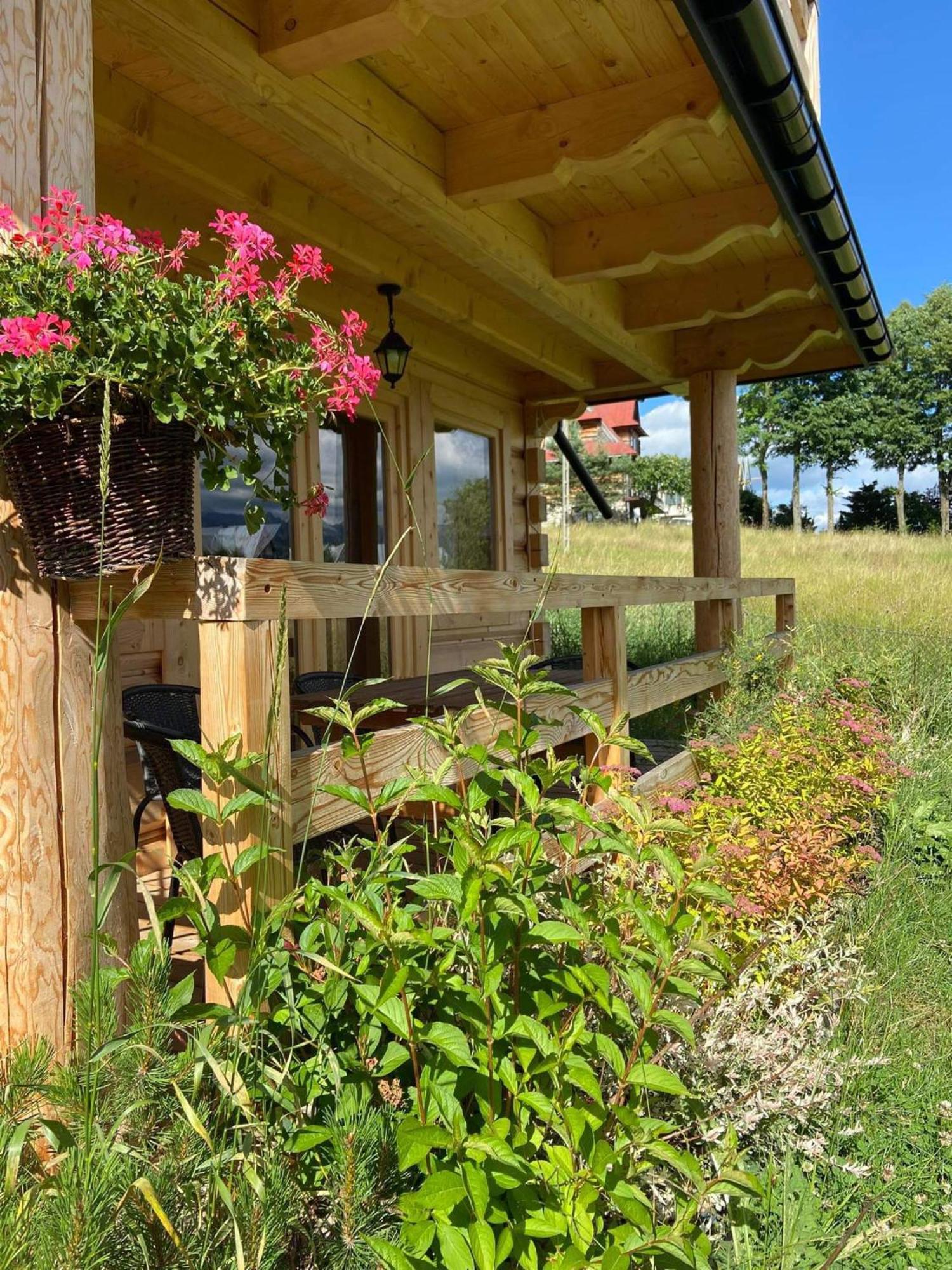 Chalet Widokowe -przystanek Salamandra